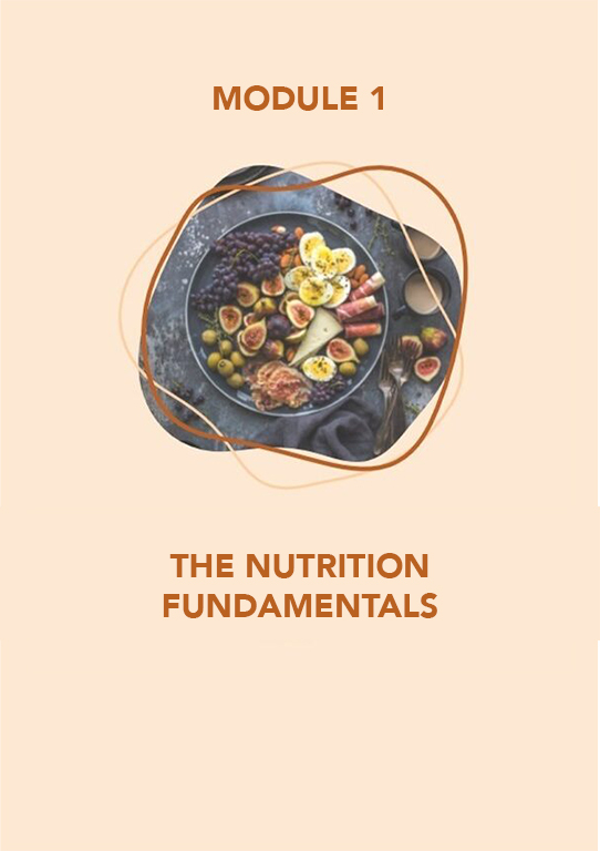 The Nutrition Fundamentals – Part 2