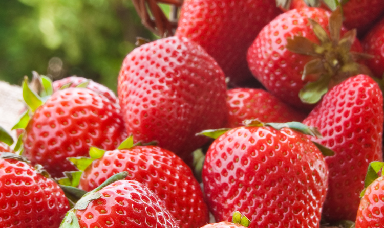 Exploring the Nutritional Benefits of Strawberries