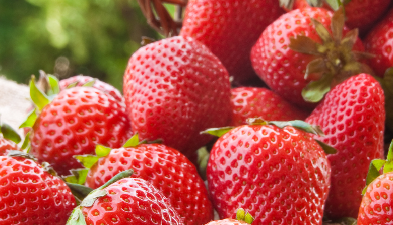 Exploring the Nutritional Benefits of Strawberries