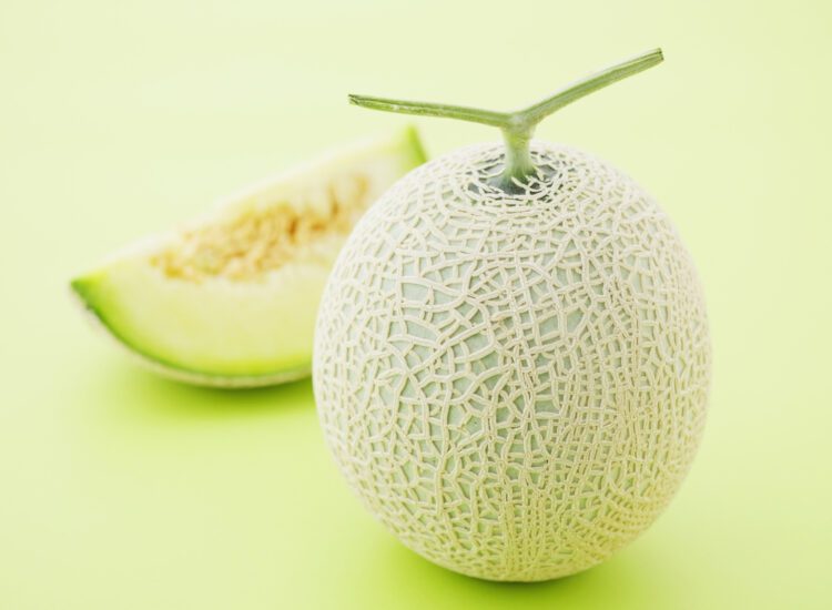 Fruits in Season: Melon – Nature’s Sweet, Hydrating Superfood
