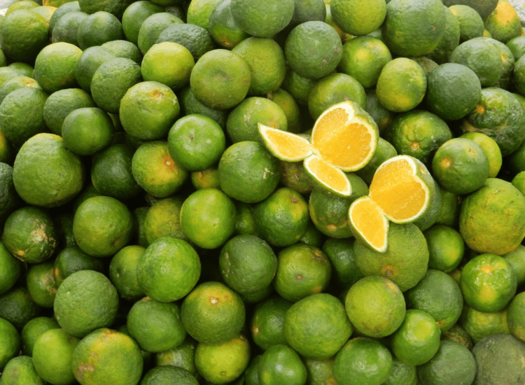 Rainy Season Nutrition: Enjoy the Benefits of Dalanghita