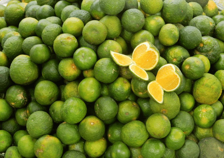 Rainy Season Nutrition: Enjoy the Benefits of Dalanghita