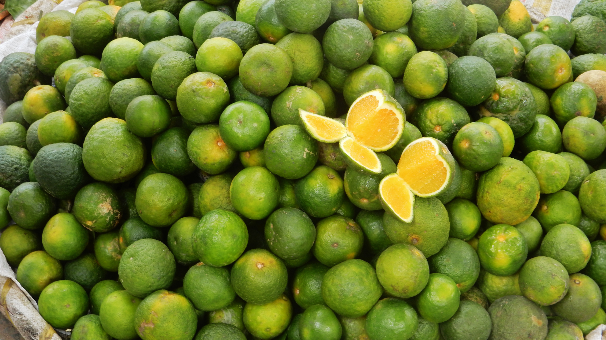 Rainy Season Nutrition: Enjoy the Benefits of Dalanghita